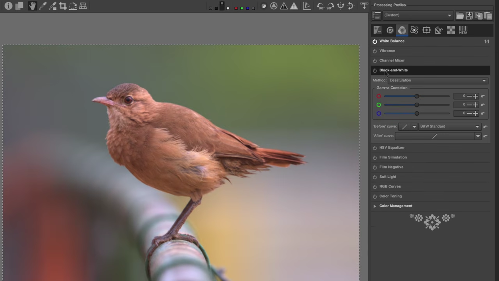 Editing Photography Image #43