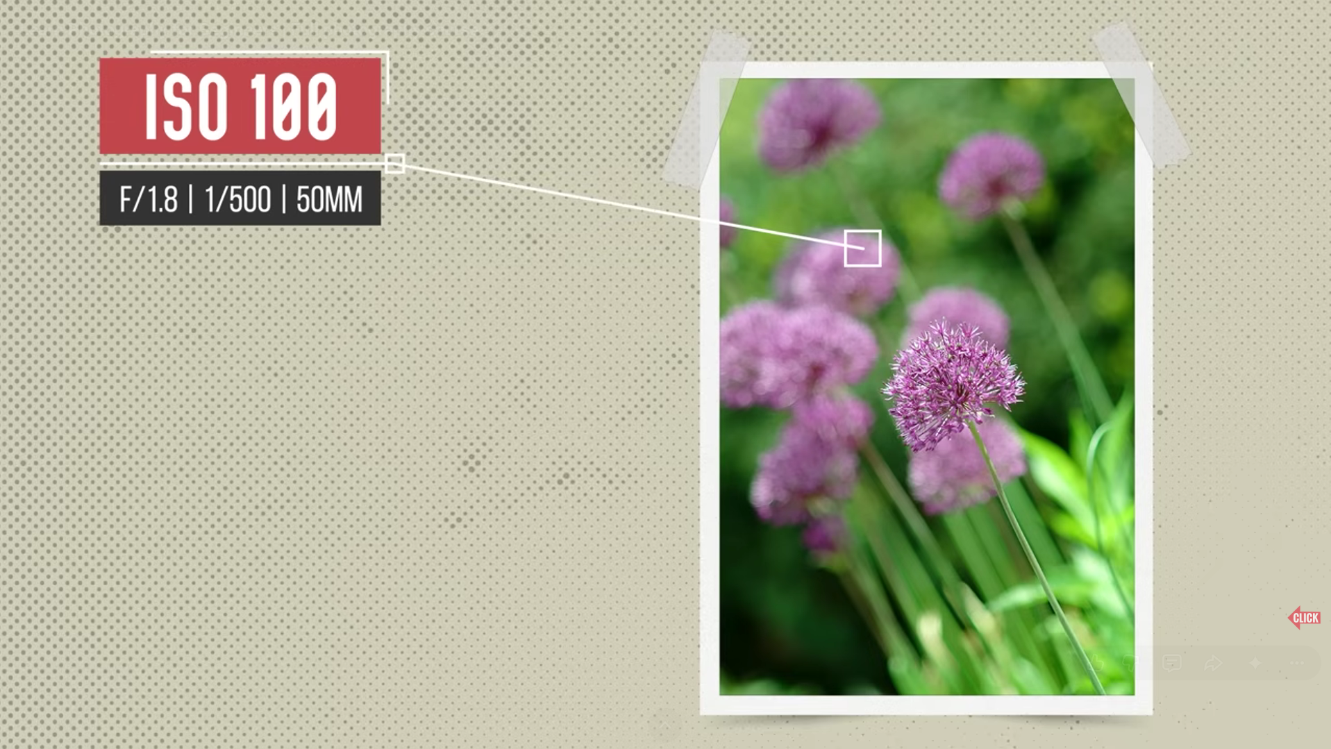 Photography Image #16